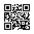 QR CODE 950