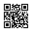 QR CODE 529