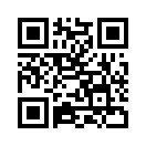QR CODE 529