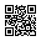 QR CODE 533