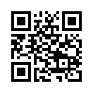 QR CODE 813