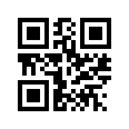 QR CODE 538