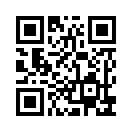QR CODE 110