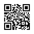 QR CODE 133