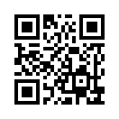 QR CODE 216