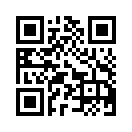QR CODE 305