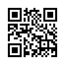 QR CODE 31