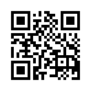 QR CODE 329