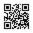 QR CODE 336