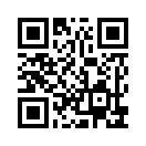 QR CODE 394