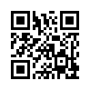 QR CODE 42