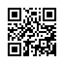 QR CODE 461