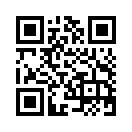 QR CODE 491