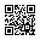 QR CODE 494
