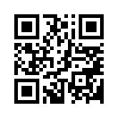 QR CODE 51