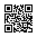 QR CODE 1333