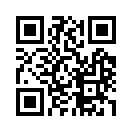 QR CODE 1337