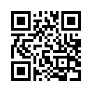 QR CODE 316