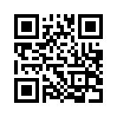QR CODE 329