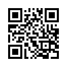 QR CODE 394