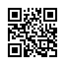QR CODE 461
