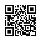 QR CODE 501