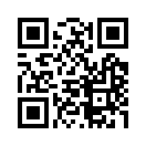 QR CODE 813