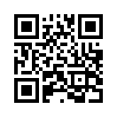 QR CODE 856
