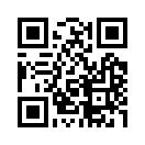 QR CODE 913