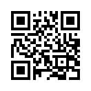 QR CODE 950