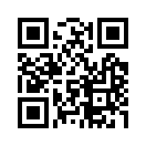 QR CODE 990