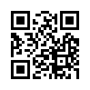 QR CODE 993