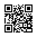 QR CODE 117