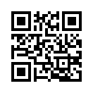 QR CODE 53