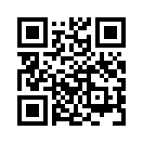 QR CODE 110