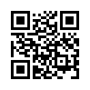 QR CODE 133