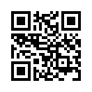 QR CODE 31