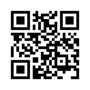 QR CODE 42