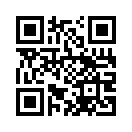 QR CODE 31