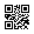 QR CODE 31
