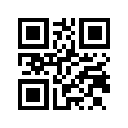 QR CODE 53