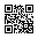 QR CODE 55