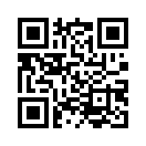 QR CODE 317