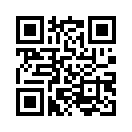 QR CODE 329