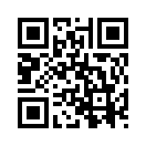 QR CODE 110