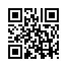 QR CODE 133
