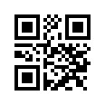 QR CODE 31