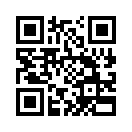QR CODE 31