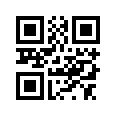 QR CODE 110
