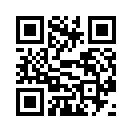 QR CODE 42